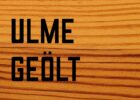 Ulme (geölt)